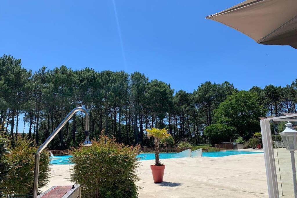 Appartement T2 1Chambre 4-5 Personnes - Lacanau - Piscine - Vue Sur Le Golf Eksteriør bilde